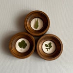 Decorative Wall Decor