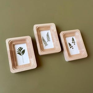 May include: Three rectangular wooden frames with a layered design. Each frame holds a pressed green fern or leaf against a white background. The frames are arranged on a muted green surface, showcasing a natural, botanical theme.