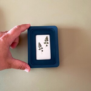 May include: A small, rectangular, dark blue picture frame holding a white mat with two pressed fern leaves. The frame is held by a hand against a light green background. The frame is approximately 7.6 cm wide and 10.2 cm tall.