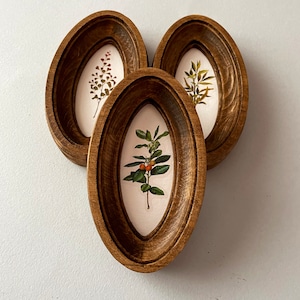 May include: Three oval-shaped wooden picture frames with a dark brown finish. Each frame features a botanical illustration of a different plant.