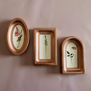 Puede incluir: Tres piezas de arte botánico enmarcadas en color cobre. Los marcos son ovalados, rectangulares y arqueados, cada uno con una flor o espécimen de planta prensada sobre un fondo blanco. Las flores son rosas, moradas y verdes.