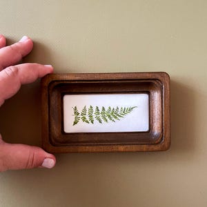May include: A small, rectangular wooden frame with a pressed green fern leaf on a white background. The frame has a dark brown finish and a recessed design. The fern is centered and detailed, showcasing the natural texture and shape of the plant.