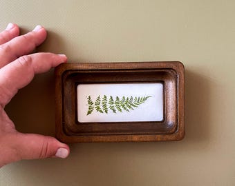May include: A small, rectangular wooden frame with a pressed green fern leaf on a white background. The frame has a dark brown finish and a recessed design. The fern is centered and detailed, showcasing the natural texture and shape of the plant.