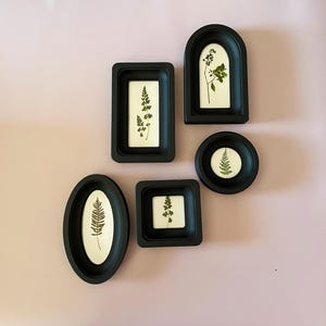 May include: A collection of six black framed botanical art pieces in various shapes: rectangular, oval, arched, and circular. Each frame contains a pressed plant specimen on a white background, showcasing natural green foliage against a soft pink backdrop.