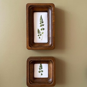 Könnte beinhalten: Zwei Holzrahmen mit botanischen Kunstwerken. Jeder Rahmen ist warmbraun und enthält einen gepressten grünen Farn auf weißem Hintergrund. Die Rahmen sind rechteckig und quadratisch und an einer hellgrünen Wand befestigt.