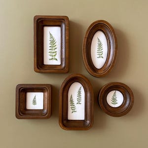 May include: A collection of five dark brown wooden frames of varying shapes including rectangular, oval, square, arched, and circular. Each frame contains a white insert featuring a green fern leaf illustration, creating a cohesive botanical display.