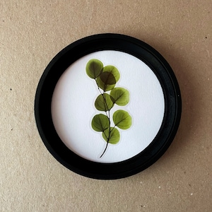 May include: A framed pressed leaf art print with a black frame and a white background. The leaf is green and has a delicate, natural look.