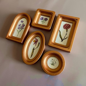 May include: A collection of five small, gold-colored picture frames in various shapes: arched, square, oval, rectangular, and round. Each frame holds a botanical illustration of a flower against a white background. The frames are arranged on a pink surface.