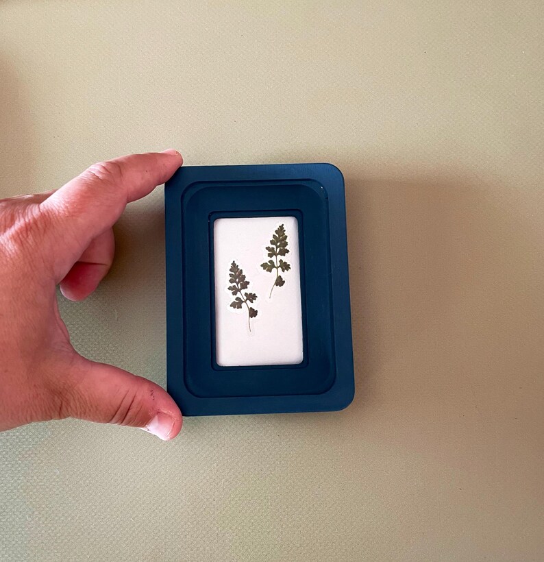 May include: A small, rectangular, dark blue picture frame holding a white mat with two pressed fern leaves. The frame is held by a hand against a light green background. The frame is approximately 3 inches wide and 4 inches tall.