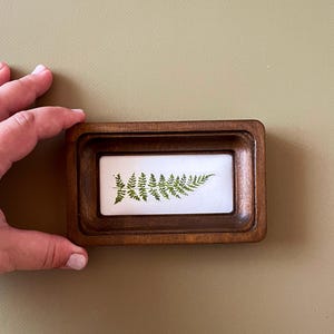 Op de afbeelding: Een kleine, rechthoekige houten lijst met een verzonken interieur. Binnenin wordt een varenblad getoond tegen een witte achtergrond. De lijst wordt door een hand vastgehouden tegen een neutrale achtergrond. De varen is heldergroen.