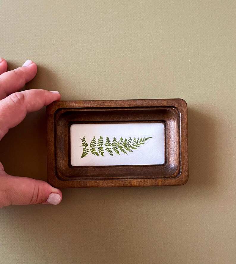 Op de afbeelding: Een kleine, rechthoekige houten lijst met een verzonken interieur. Binnenin wordt een varenblad getoond tegen een witte achtergrond. De lijst wordt door een hand vastgehouden tegen een neutrale achtergrond. De varen is heldergroen.