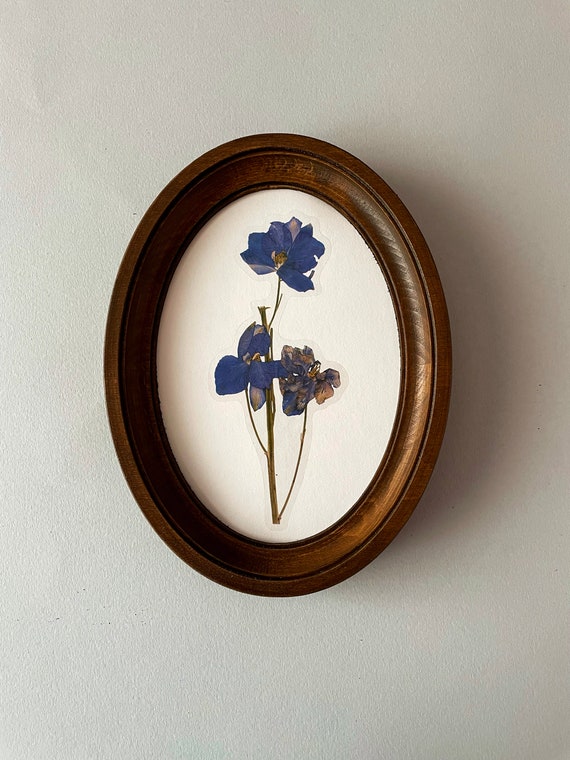 Buy Brown Oval Frame Oval Picture Frame Frame for Embroidery