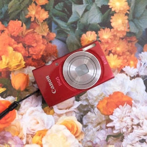 Canon IXUS 145 16MP 8x optical Zoom Compact Digital Camera. Vintage Digicam. Y2K Digital Camera (Tested)