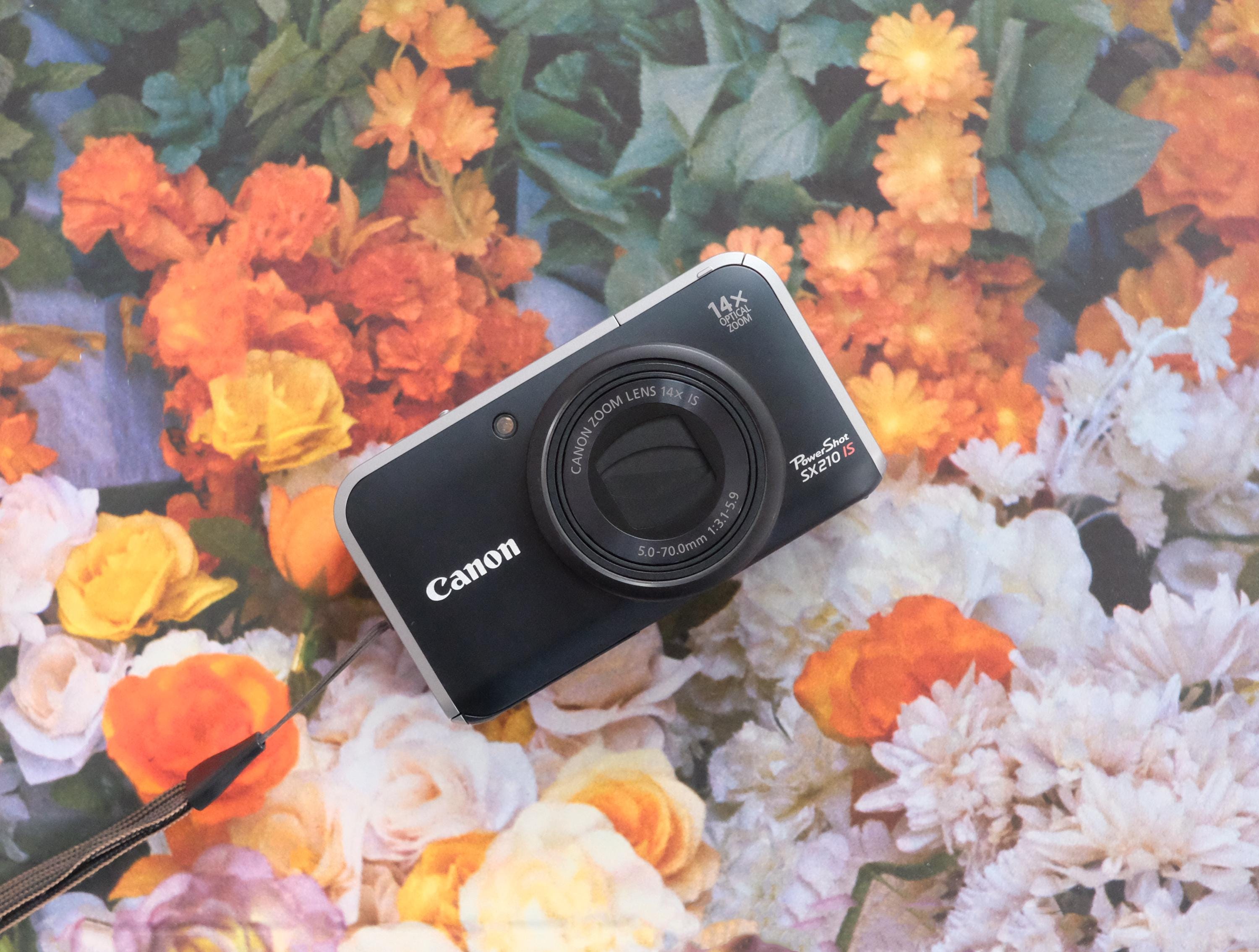 Canon Powershot SX210 IS 14MP 14x Optical Zoom Compact Digital 