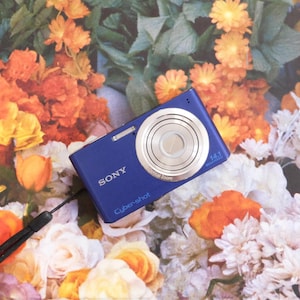 Sony Cybershot DSC-W610 14.1MP 4x optical Zoom Compact Digital Camera. Vintage Digicam. Y2K Digital Camera. (Tested)