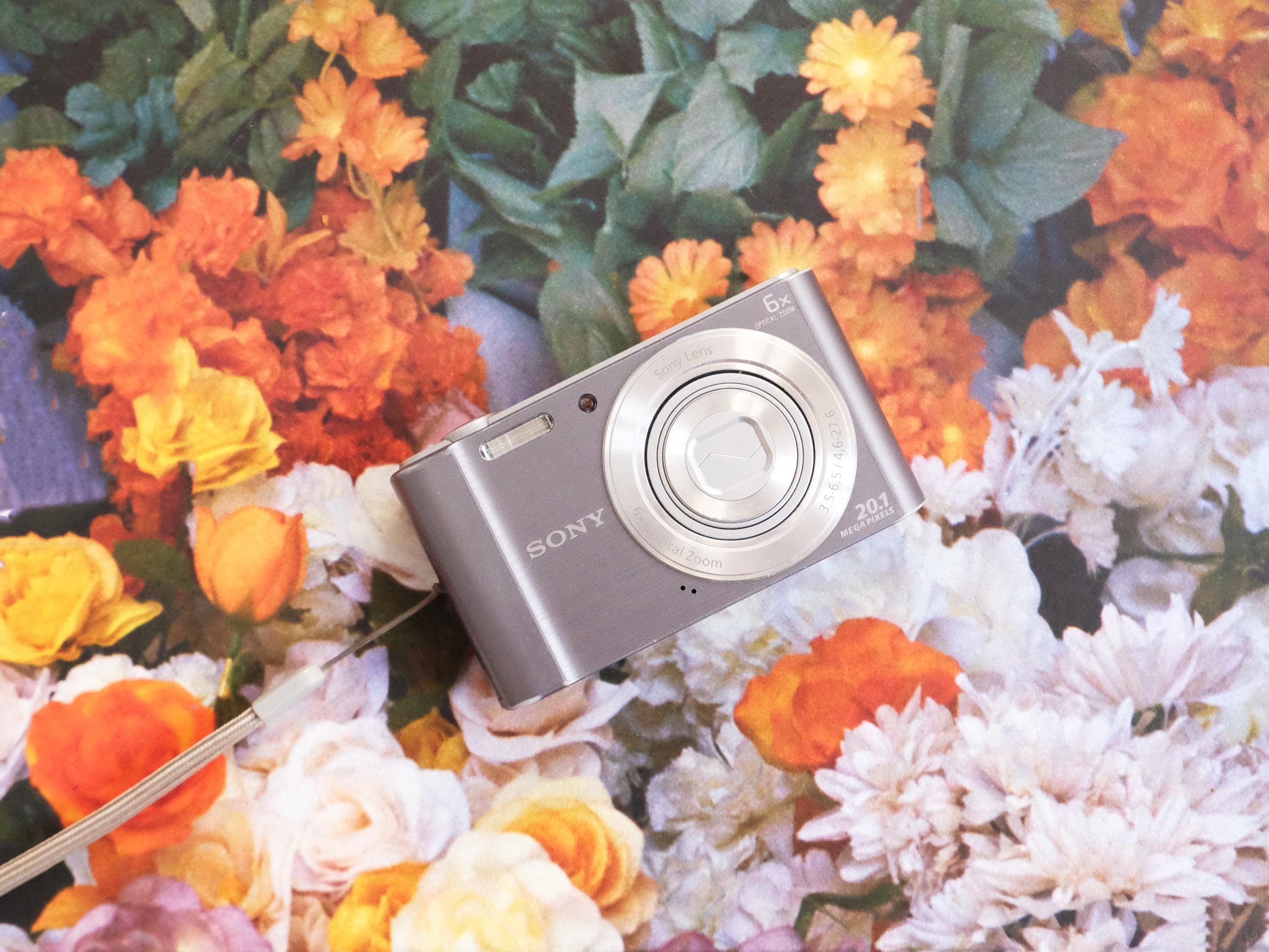 【ジャンク品】SONY DSC-W810 Sony Dsc W810 | eBay