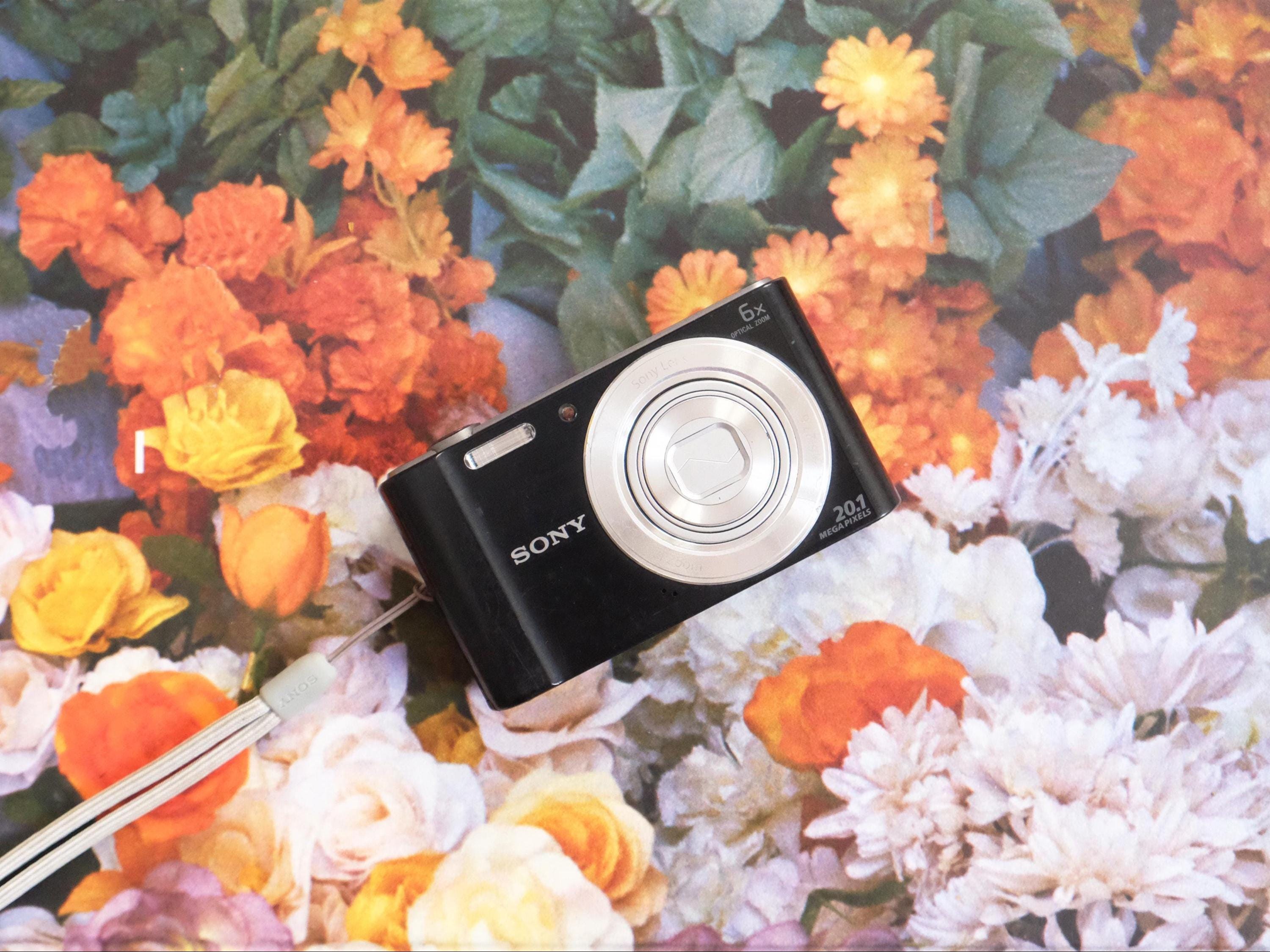 Sony cyber shot pink camera - Etsy 日本