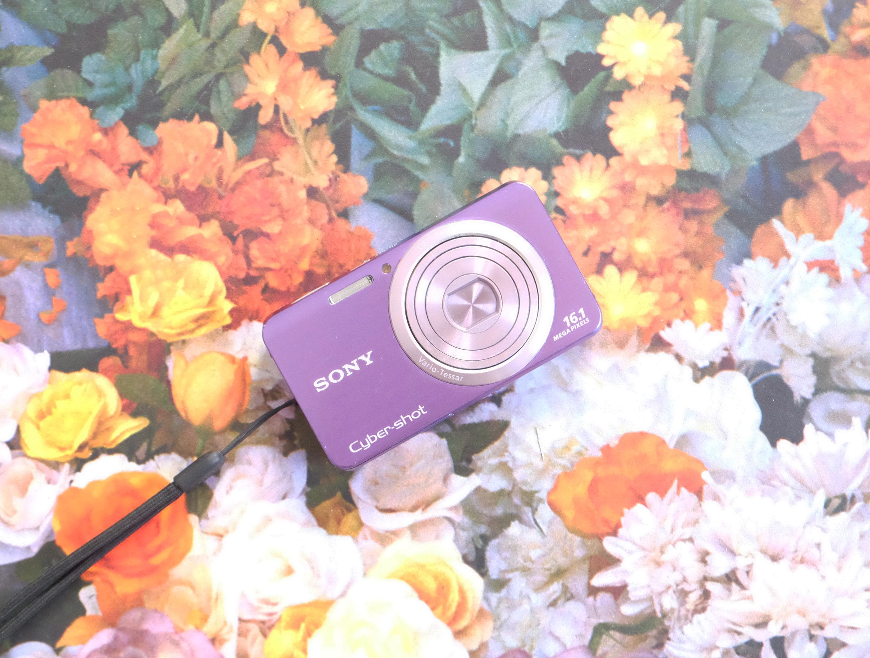 Sony Dsc T100 - Etsy