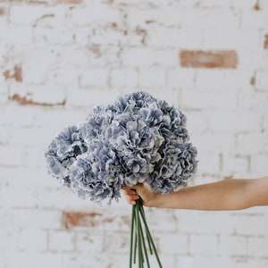 May include: A bouquet of blue hydrangeas with green stems. The flowers are held in a hand against a white brick wall background.