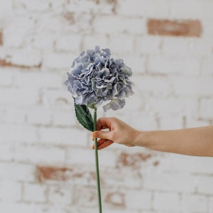 May include: A single stem of a light blue hydrangea flower with green leaves held in a hand against a white brick wall background.