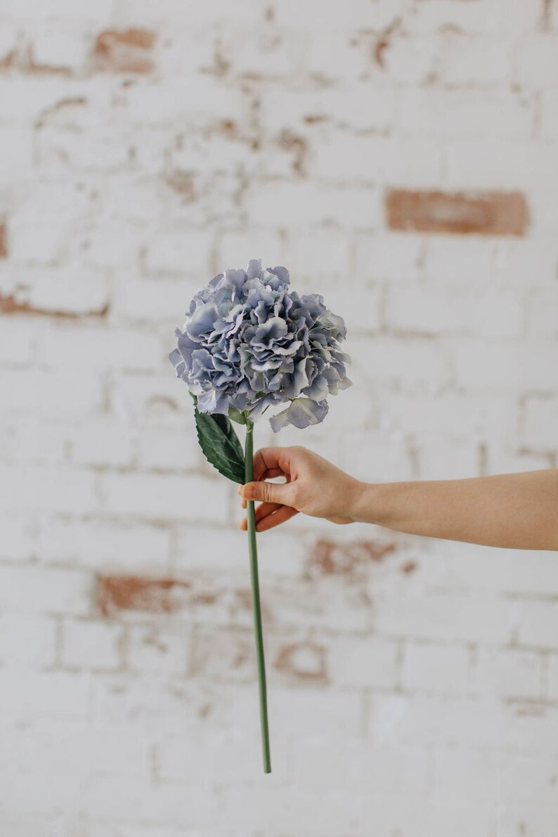 May include: A single stem of a light blue hydrangea flower with green leaves held in a hand against a white brick wall background.