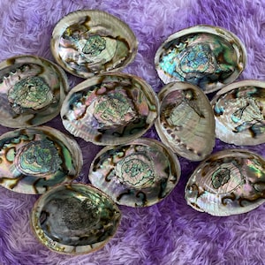 Large abalone shell smudging stick beautiful shells are perfect for smudging, burning resin, displaying crystals
