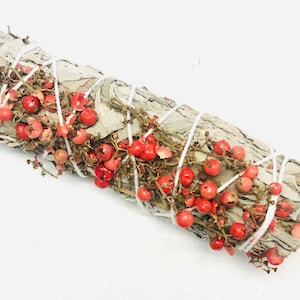 Schinus molle (California Pepper Tree) and white sage 4&quot;