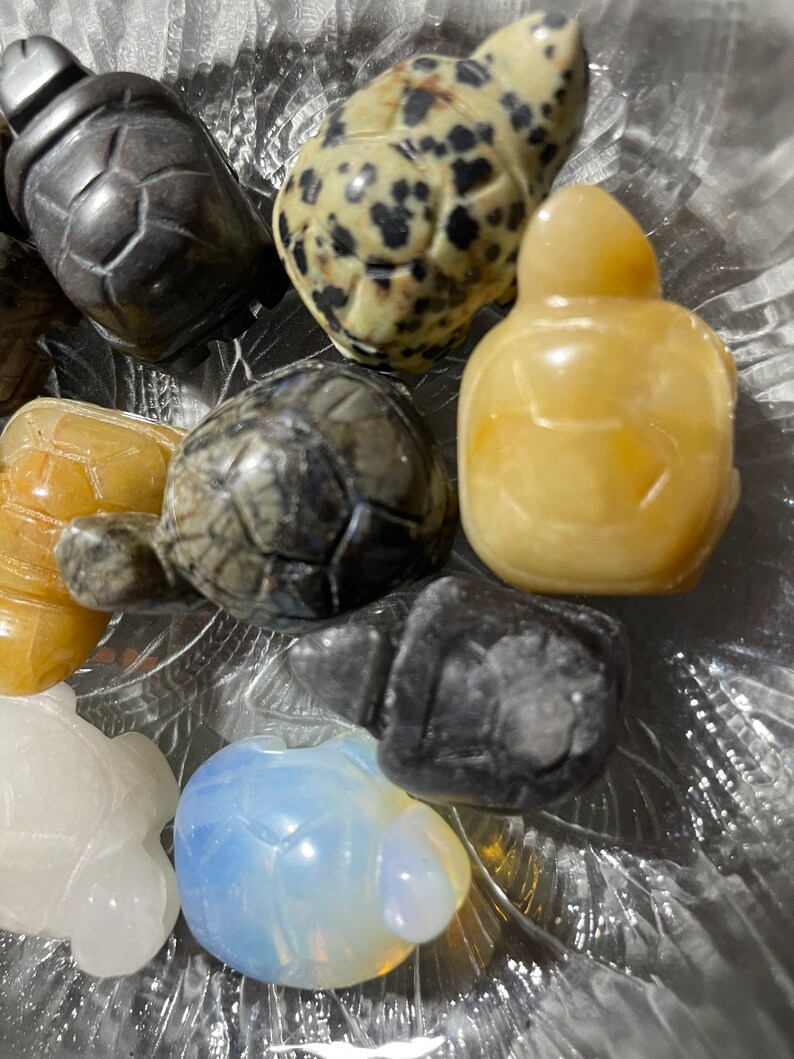 Spirit Animal the Turtle is the Symbol of Longevity - Etsy