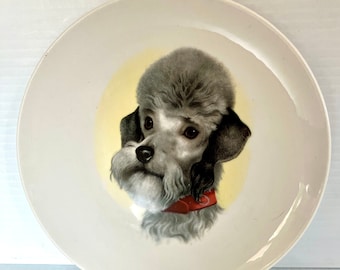 Vintage  Dog Plate Bavaria Poodle Arzberg Germany Plate, German Schnauzer Collector Plate, Dog Plate, Collectable