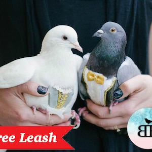 Pigeon & Dove Pants Tuxedo Pants Free Matching Leash image 3
