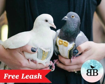 Pigeon & Dove Pants - Luxury Pants ( Free Matching Leash)