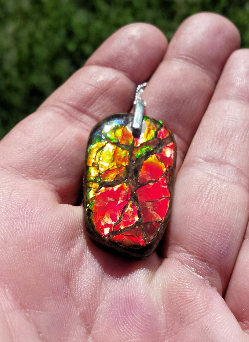 BRIGHT RED Alberta Ammolite Free Form Pendant Set With .925 Silver Bale /& 18 Curb Chain!