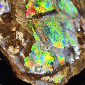 May include: A close-up of a piece of iridescent opal, showing a variety of colors including green, blue, red, and yellow. The opal is embedded in a brown matrix.