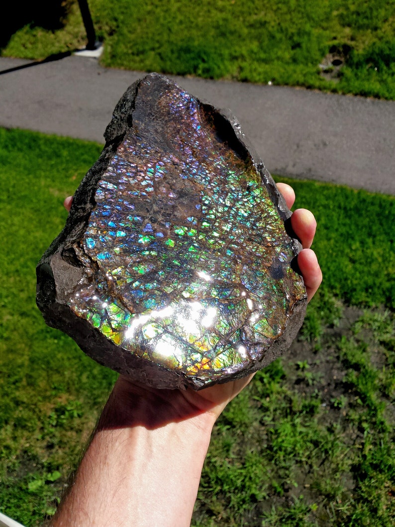 Gorgeous Violet Alberta Ammolite Free Form Pendants Set With .925 Silver Bale and 18 Chain! Green /& Blue