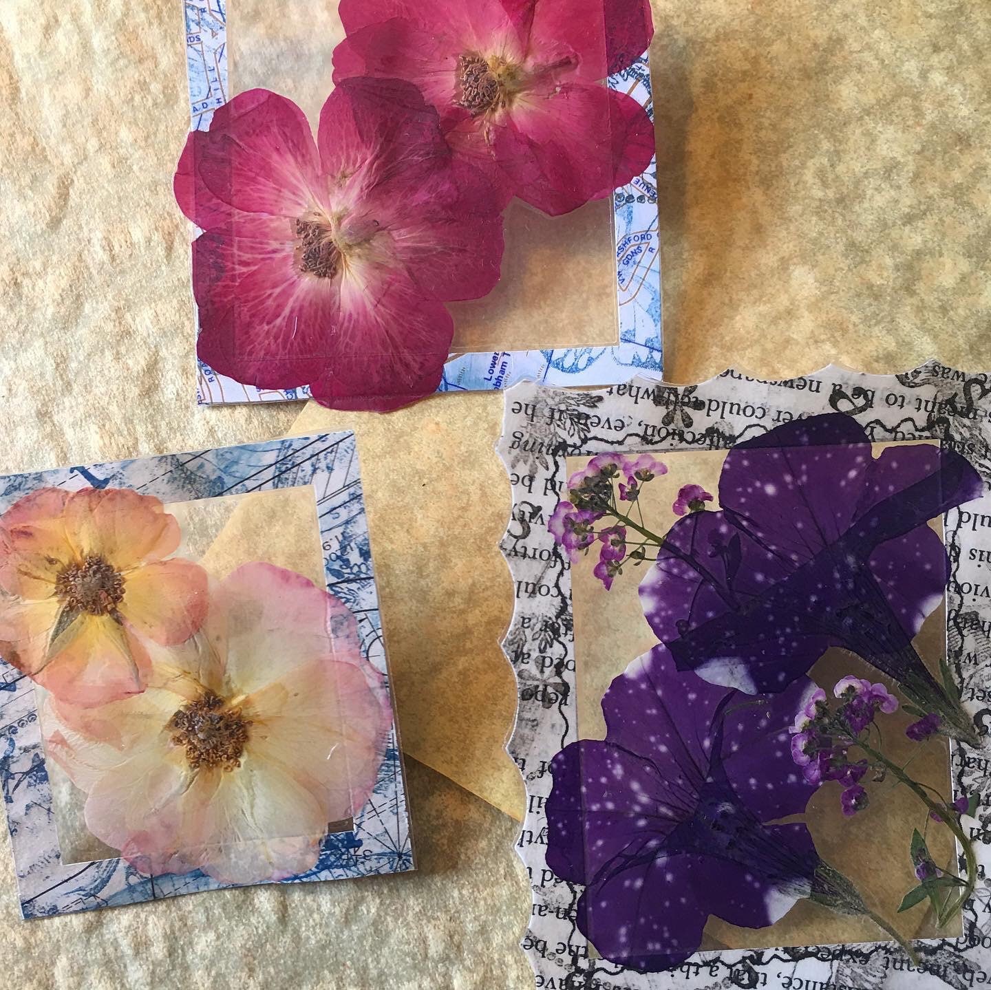 Pressed Flower Journal Pages Clear Cover Pressed Flower Etsy