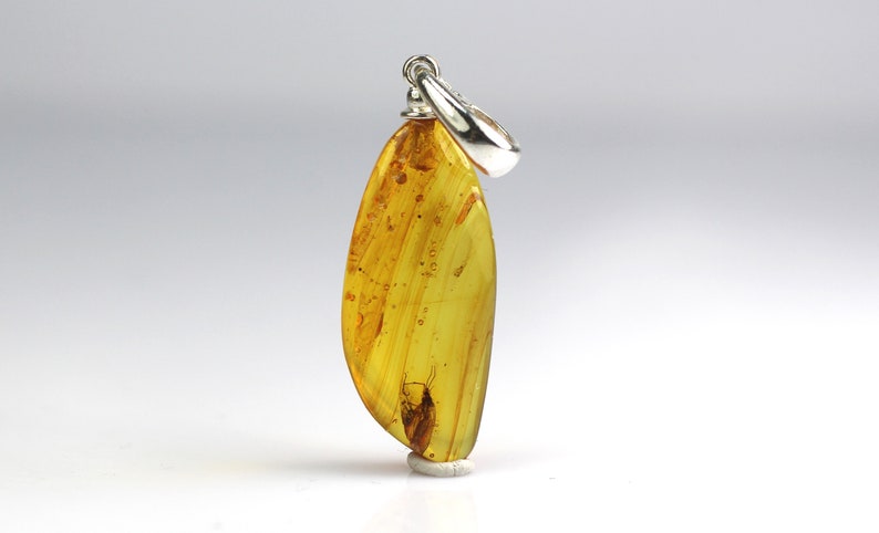 Rare Natural Baltic Amber with Insect Inclusion & Sterling Silver Pendant Rare Natural Baltic Amber with Insect Inclusion & Sterling Silver Pendant