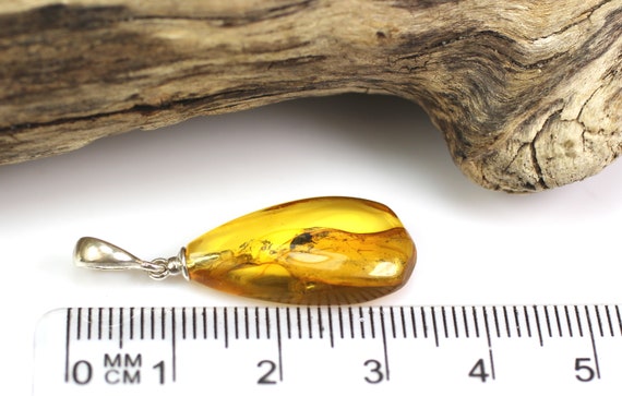 Rare Natural Baltic Amber with Insect Inclusion & Sterling Silver Pendant Rare Natural Baltic Amber with Insect Inclusion & Sterling Silver Pendant