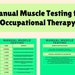 Manual Muscle Testing Guide for Occupational Therapy | OT and COTA ...