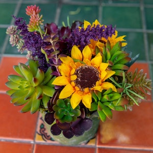 May include: A yellow sunflower with a brown center is surrounded by green succulents and purple flowers in a green pot.