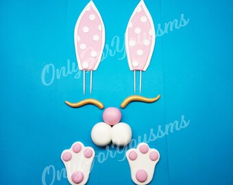 3D edible RABBIT BUNNY EARS eyes feet kit wedding topper decoration, wedding, anniversary, birthday, engagement