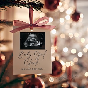 Its A Girl Pregnancy Announcement December, Baby girl reveal December, winter baby, December baby, November baby, Editable template