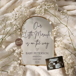 Minimalist Mirror Pregnancy Announcement with Mirror: Social Media Baby Reveal (Canva Template Digital Download )