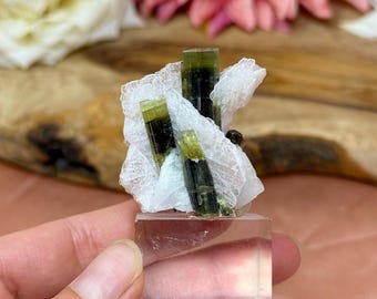 May include: A cluster of green and black tourmaline crystals with a white, textured matrix. The crystals are mounted on a clear, rectangular base. The background features wood and pink flowers.