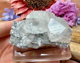 柱状方解石結晶クラスター（母岩上）｜福建省産六角形透明方解石鉱物