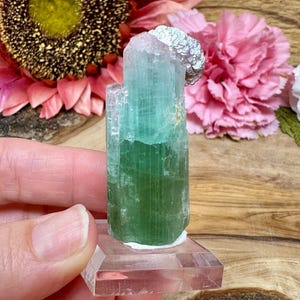 Green Tourmaline w/ Lepidolite from Brazil | Collector Crystal for Heart Healing & Clarity | Natural Bicolor Mineral Specimen Gift