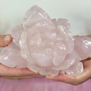 Geschnitzte Rosenquarz Blume aus Brasilien - Luxuriöser rosa Kristall für Liebe, Herzheilung, metaphysische Energie & Sammler Display