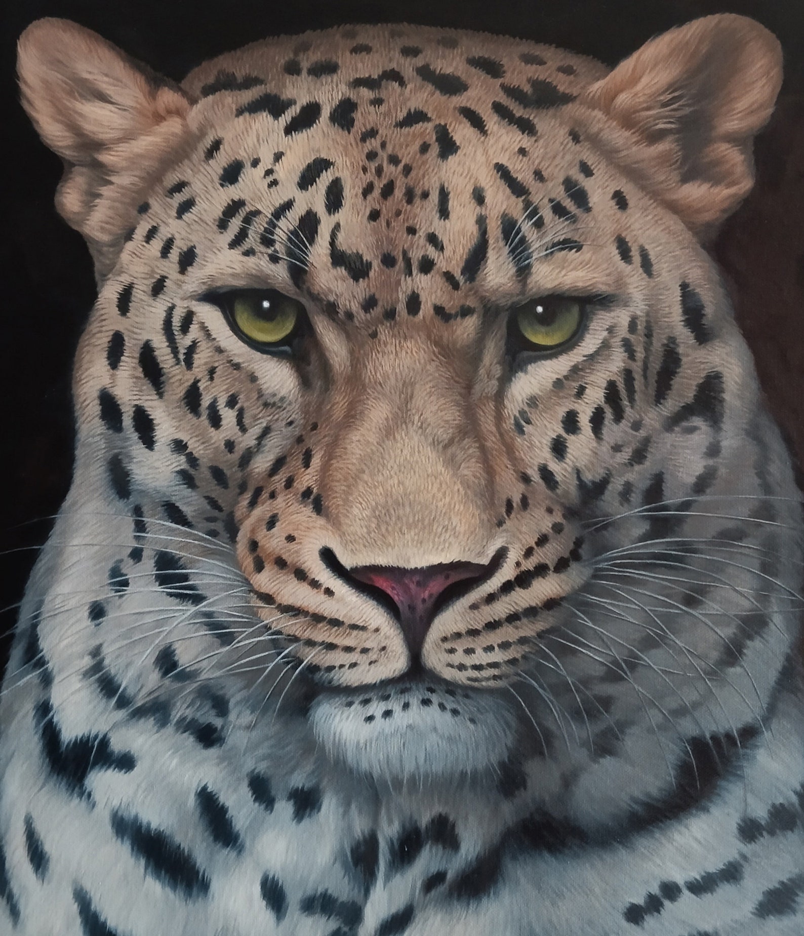 Guardian of the Shadows: Intense Leopard Portrait, 60x80cm (23.6x31.5in ...