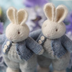 Rabbit Wool Stuff Winter Dress For Boy Blue main image 0
