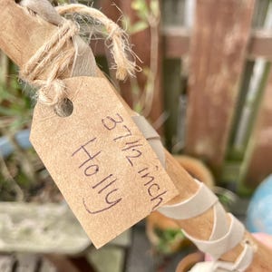 37 1/2 inch Holly stick