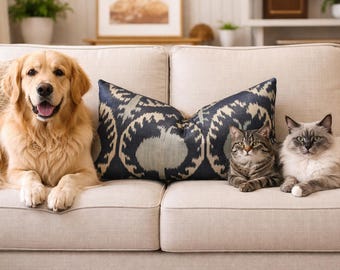 Silk Ikat Pillow Cover: Handwoven Decorative Cushion (12x20) Print pillow